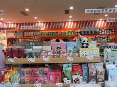 -熊猫邮局(少城店)