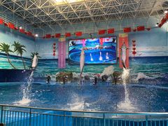 -多彩贵州城极地海洋世界