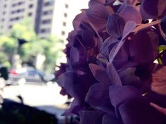 -未来生活家(集盒广场店)