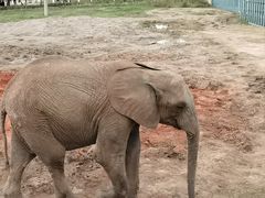 -哈尔滨北方森林动物园