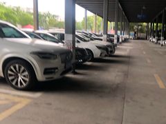 -上海植物园·停车场