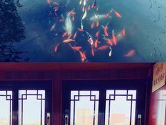 -大明湖海底世界