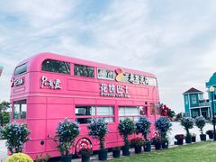 -荷兰花海