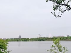 -灞河西岸滨河公园