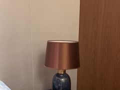 -同庆楼(天鹅酒家店)