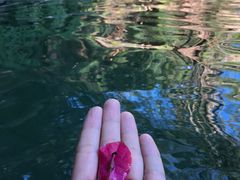 -荷花温泉