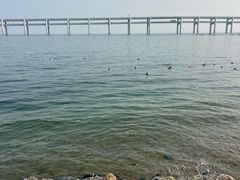 -黑石礁公园