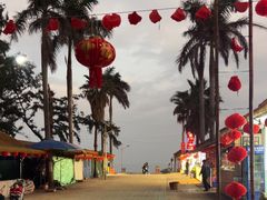 -贝壳沙滩