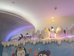 -帝企鹅自助餐厅•儿童岛•真企鹅(长隆企鹅酒店)