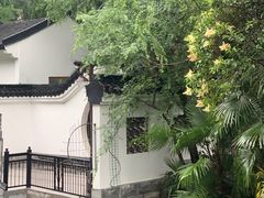 -南通濠河风景名胜区