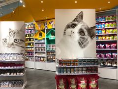 -KKV(深圳宏发大仟里店)