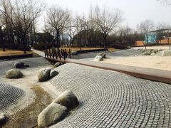 -仙游岛公园