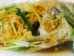-渡海小渔村.老辈日照菜