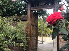 -长安上水缘度假庄园