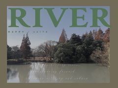 -上海滨江森林公园