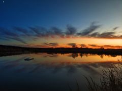 -塞罕坝国家级自然保护区