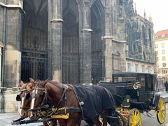 -斯蒂芬主教座堂(Stephansdom)