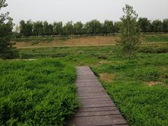 -洨河生态公园
