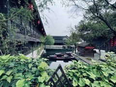 -鲁镇