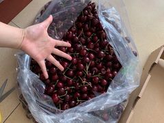 车厘子-盒马鲜生(顺义店)