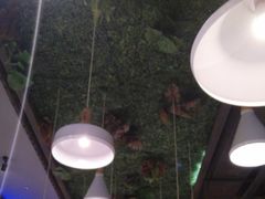 大堂-炭舍干锅·烤鱼(扬名广场店)