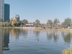 -西海子公园