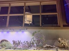 -街角等你.大连海鲜烧烤.经典铁板海鲜串(西安路店)