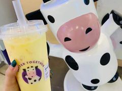 -一只酸奶牛(八一路店)