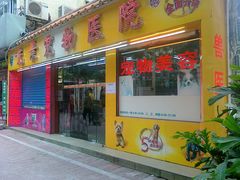 -瑞派动物医院·绝育·犬猫全科·预防医学(光景江南中店)