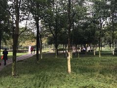 -重庆彩云湖湿地公园