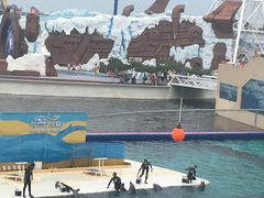 -秦皇岛乐岛海洋王国