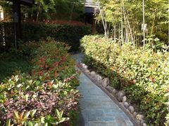 -咸宁太乙国际温泉度假村