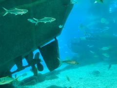 -福州罗源湾海洋世界旅游区