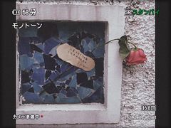 -花到家(富贵鸟花艺行)