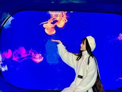 -海合安成都极地海洋公园