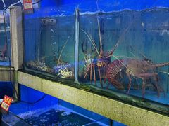 -东江海鲜大排档·潮汕菜·砂锅粥