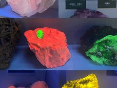 -湖南省地质博物馆