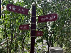 -老君山