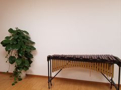 -音歆国艺馆·民乐培训(双榆树店)