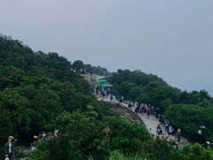 -梧桐山风景名胜区
