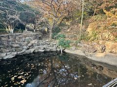 -石老人观光园