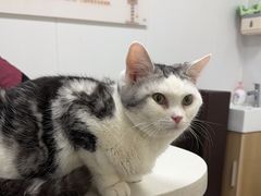 -艾贝尔宠物医院 ·中兽医·宠保定点(北门桥店)