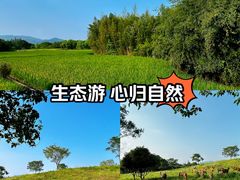 -良渚古城遗址公园