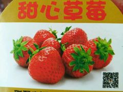 -甜心庄园·甜心草莓采摘园(西青中北店)