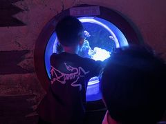 -太平洋海底世界