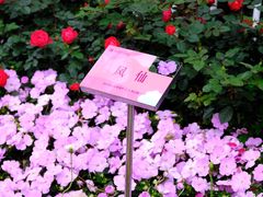 -人民公园(罗湖区)