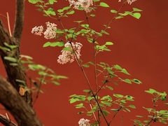 -北京市西城区德胜社区卫生服务中心