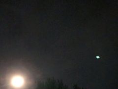 -金狮饼店(关闸马路店)