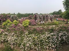 -尚贤河湿地