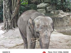 -深圳野生动物园